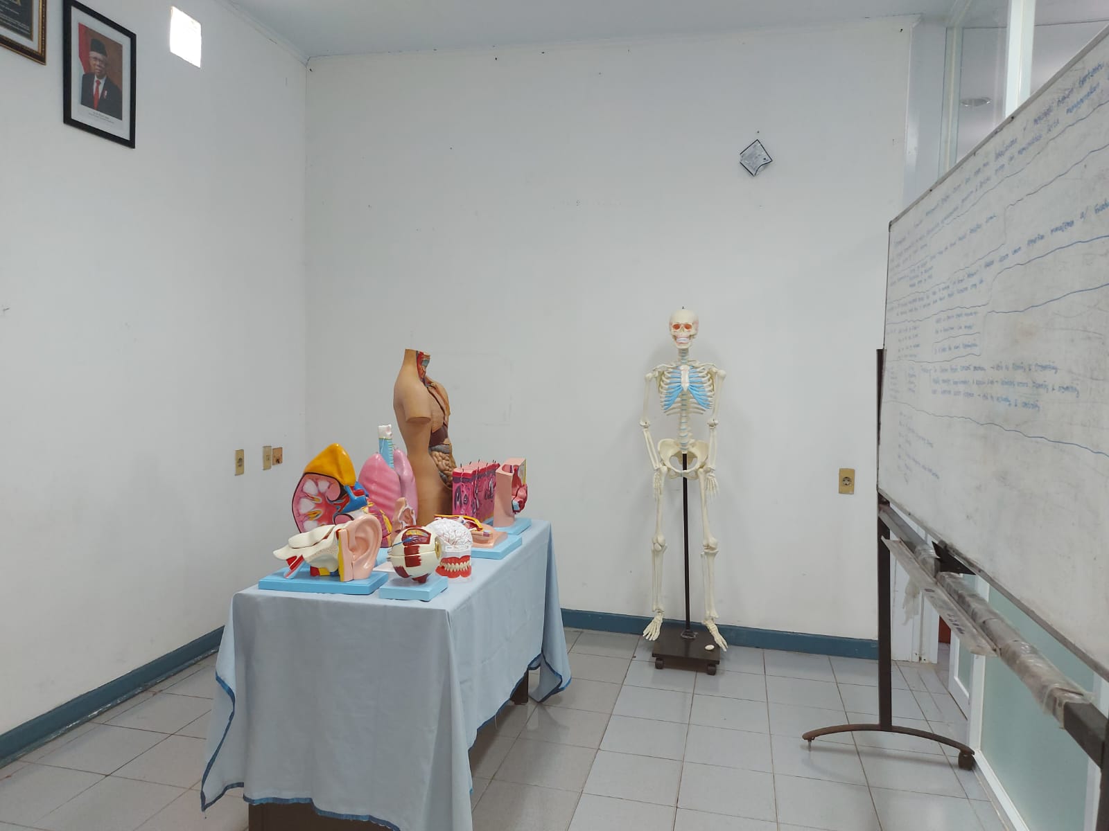 Laboratorium Anatomi